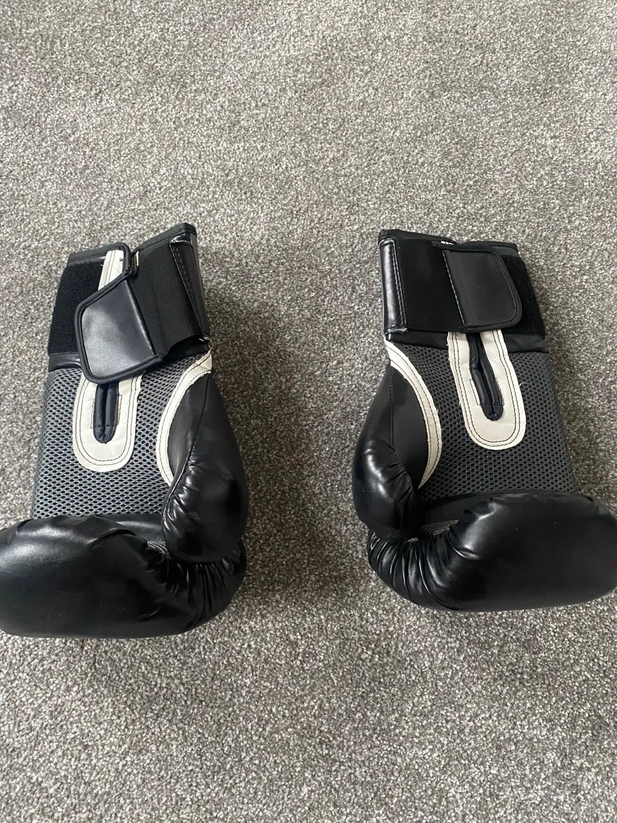 16oz boxing gloves - Image 3