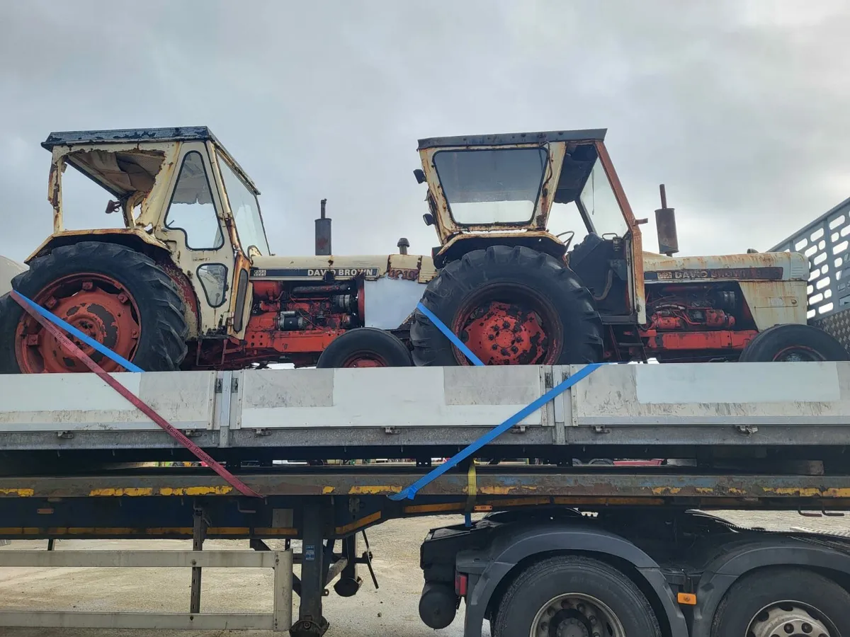 David brown - Image 2