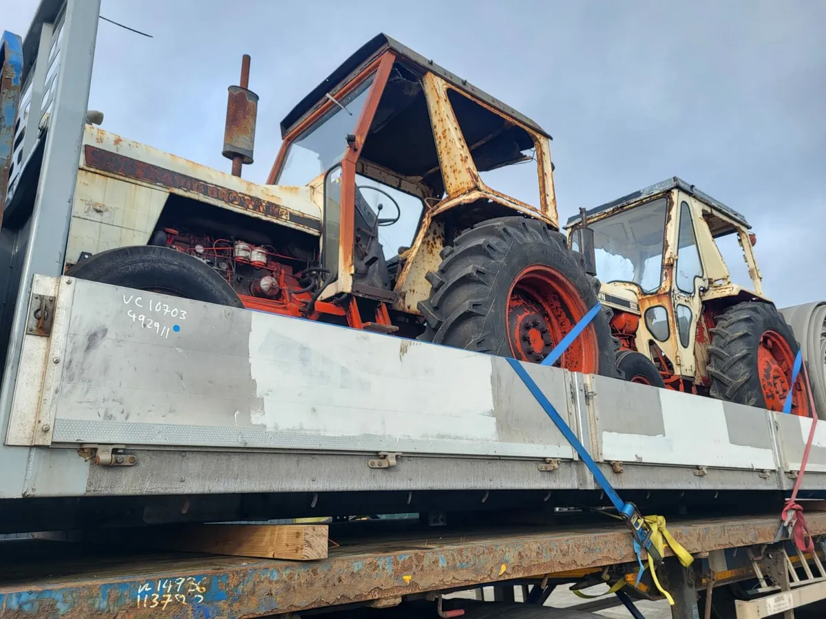 David brown - Image 4