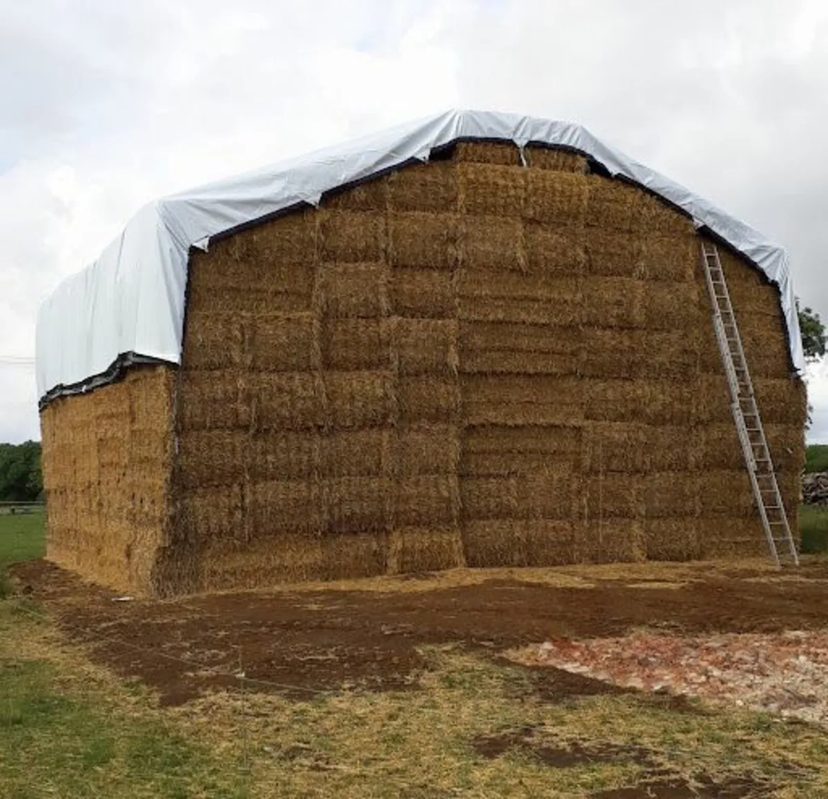 FARM COVER - Image 3