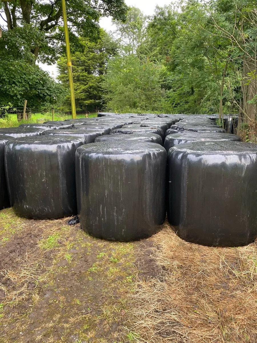 Top Quality Haylage - Image 1