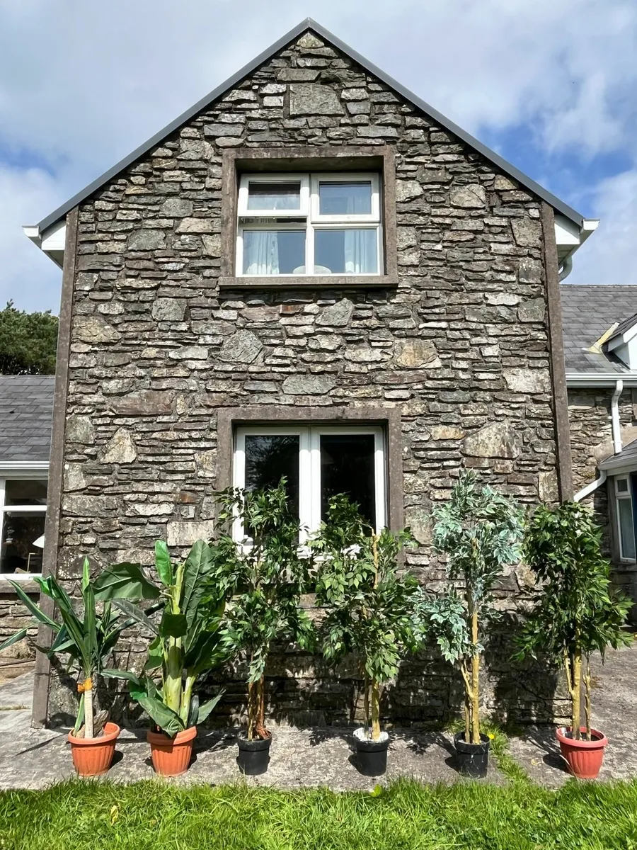 Artificial Indoor Plants (Banana and Ficus trees) - Image 2