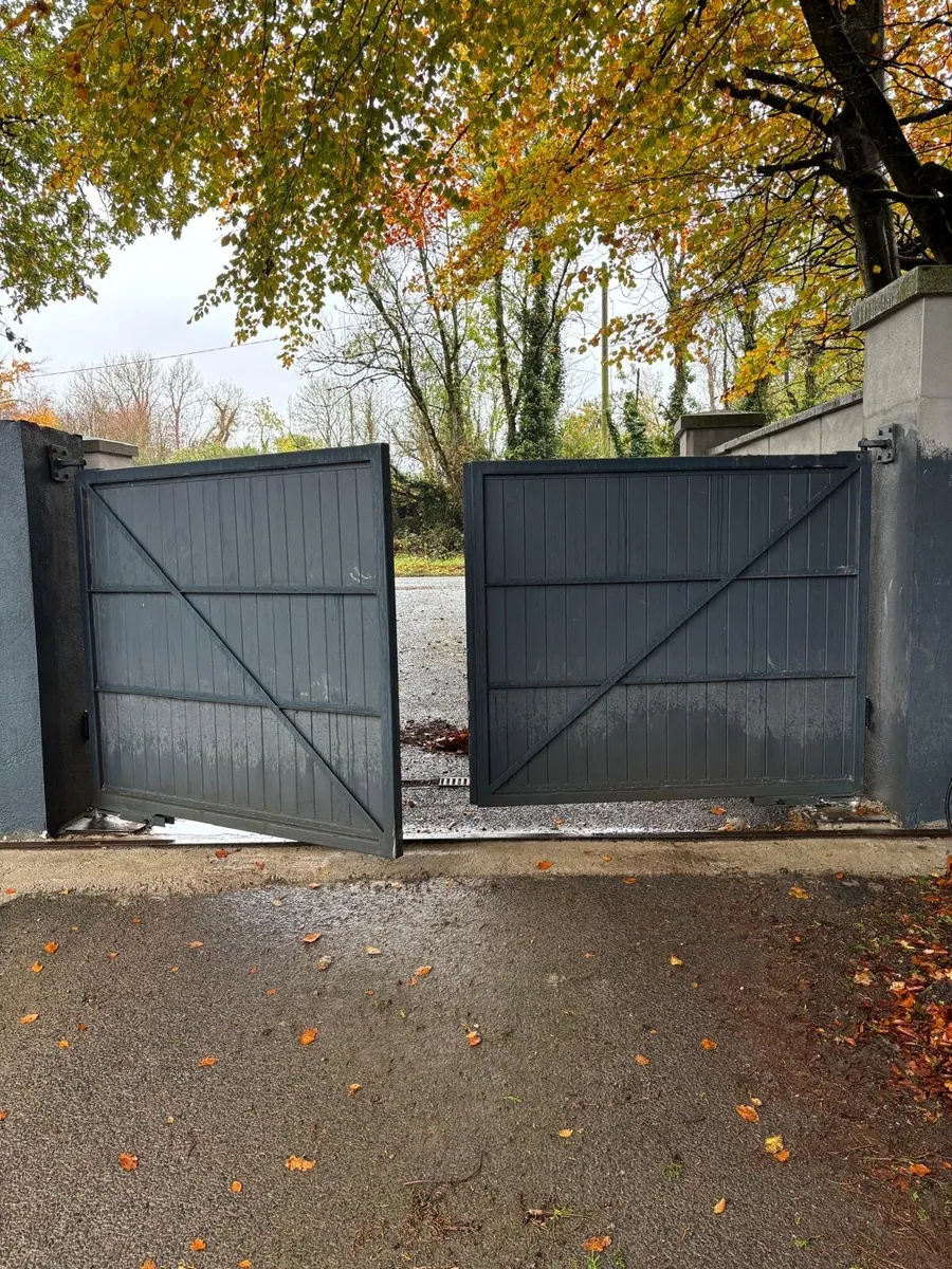 Wooden/Metal electric gates - Image 2