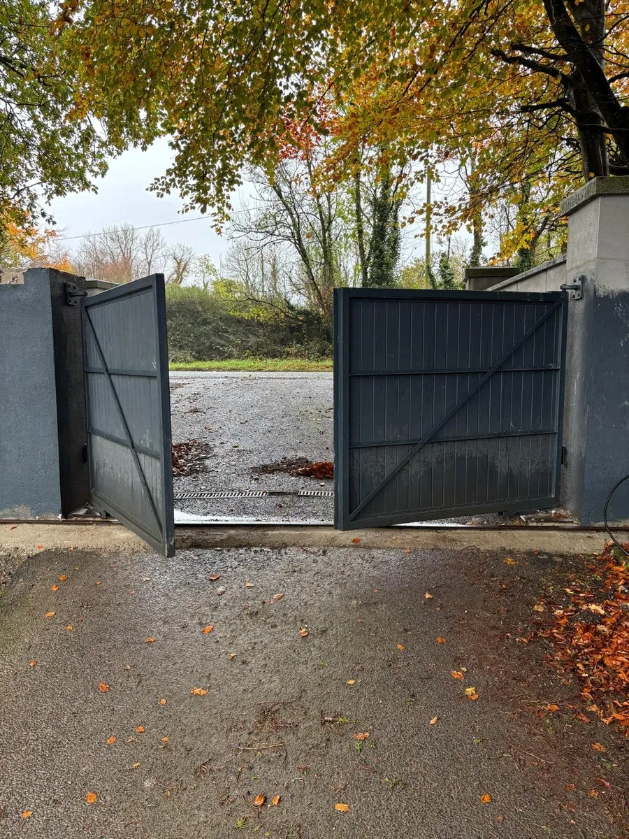 Wooden/Metal electric gates - Image 3