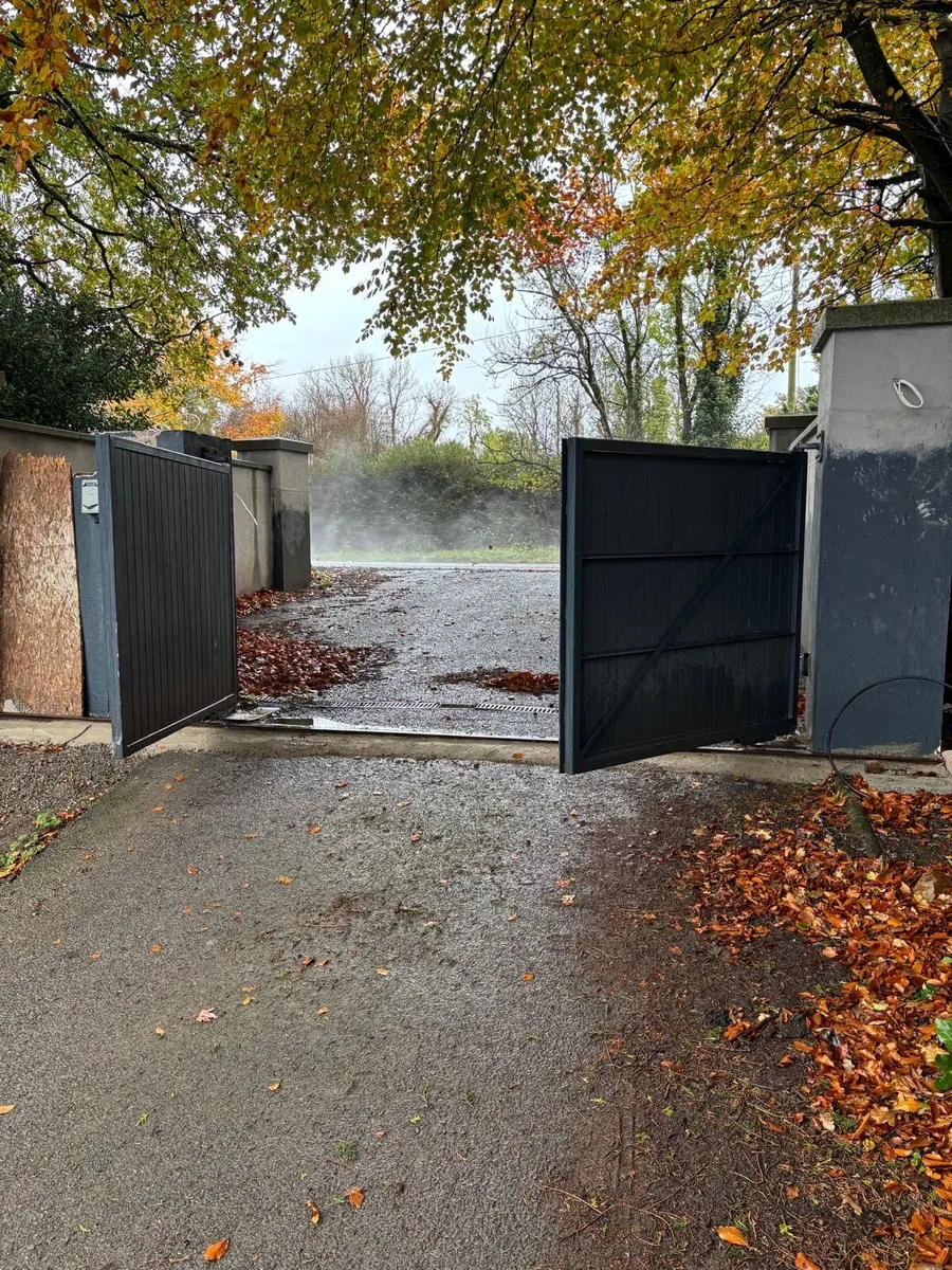 Wooden/Metal electric gates - Image 4