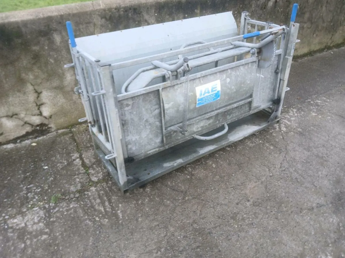 Sold !!! Sheep turnover crate - Image 1