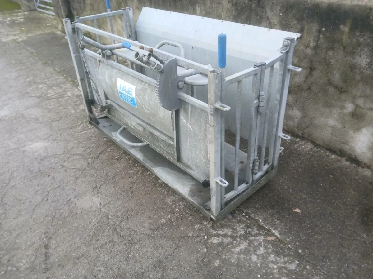 Sold !!! Sheep turnover crate - Image 2