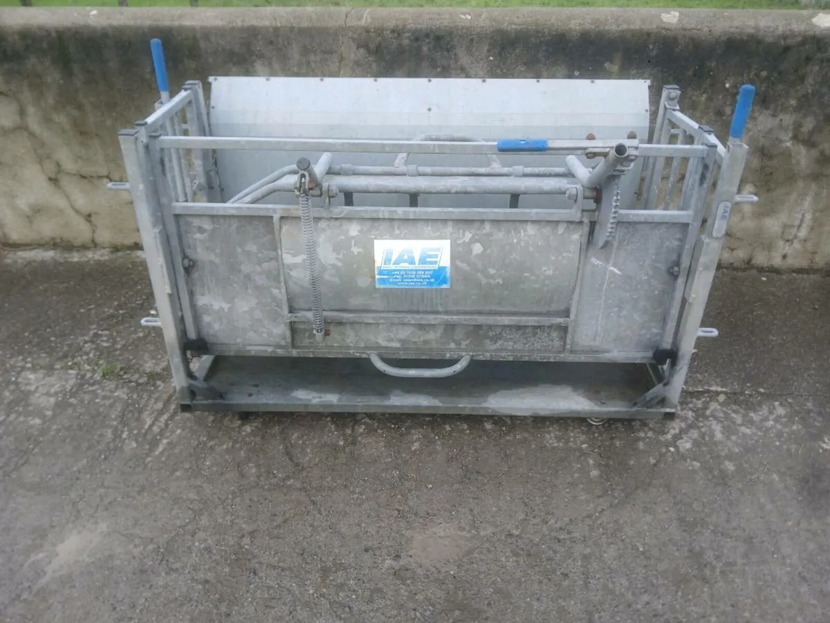 Sold !!! Sheep turnover crate - Image 3