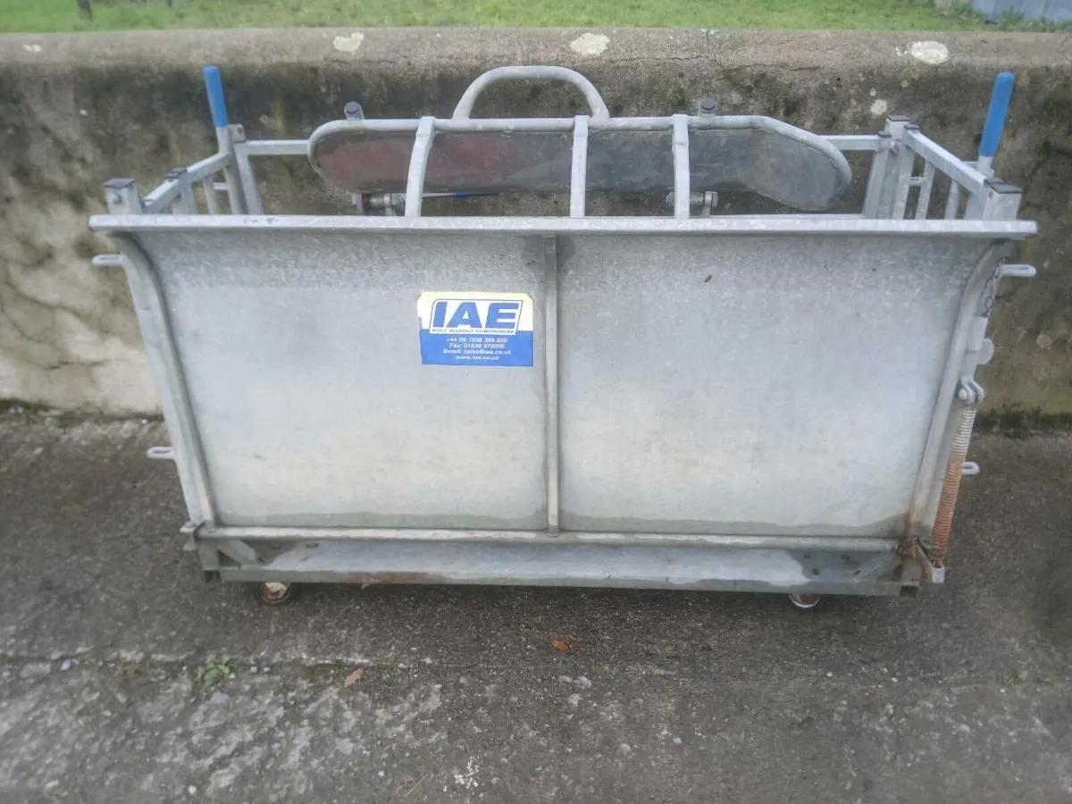 Sold !!! Sheep turnover crate - Image 4