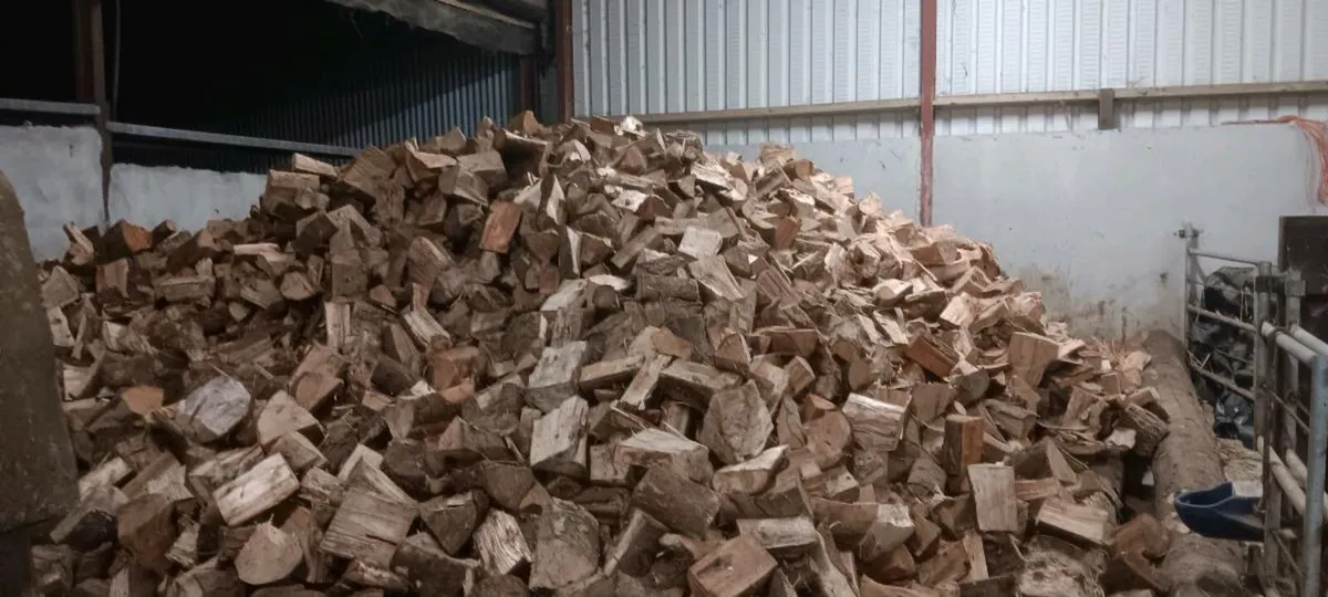 Trailer Loads Softwood Firewood - Image 3