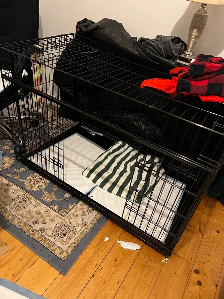 Extra large Dog cage - Image 4