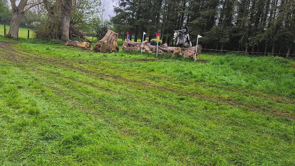 Freddo 🐸 - Image 3