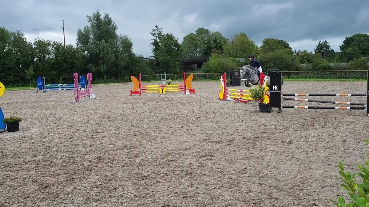 Freddo 🐸 - Image 4