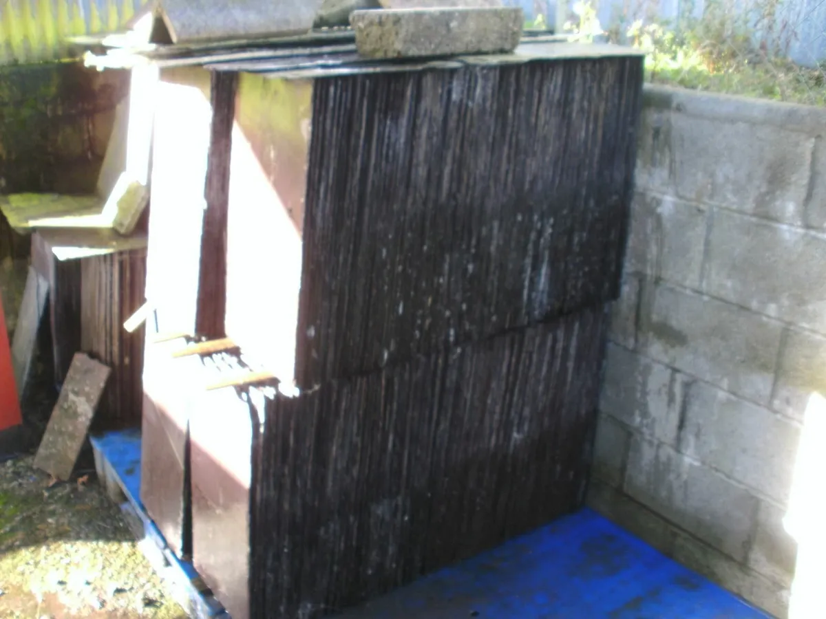 Blue Bangor Slates 30 by 20 etc - Image 2