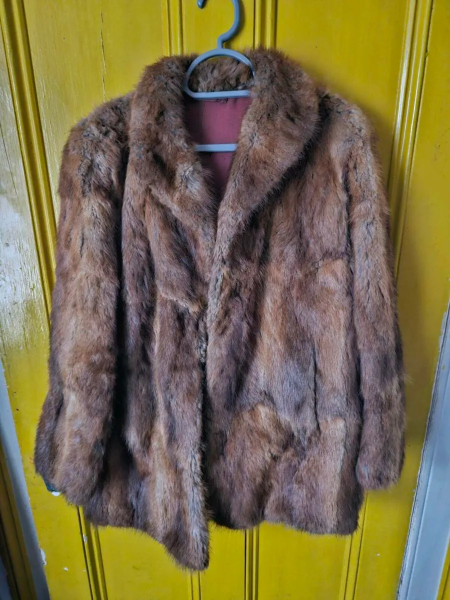 Vintage Fur Coat - Image 2