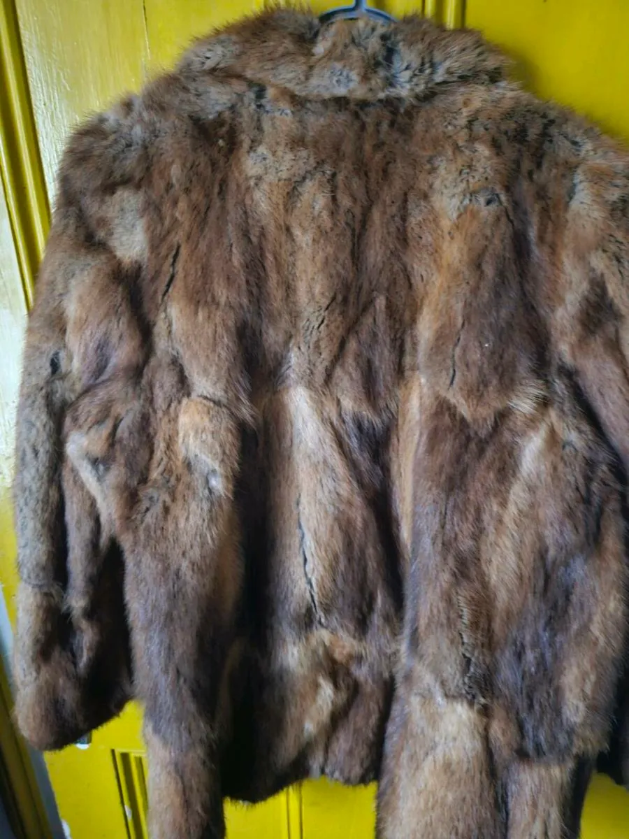 Vintage Fur Coat - Image 4