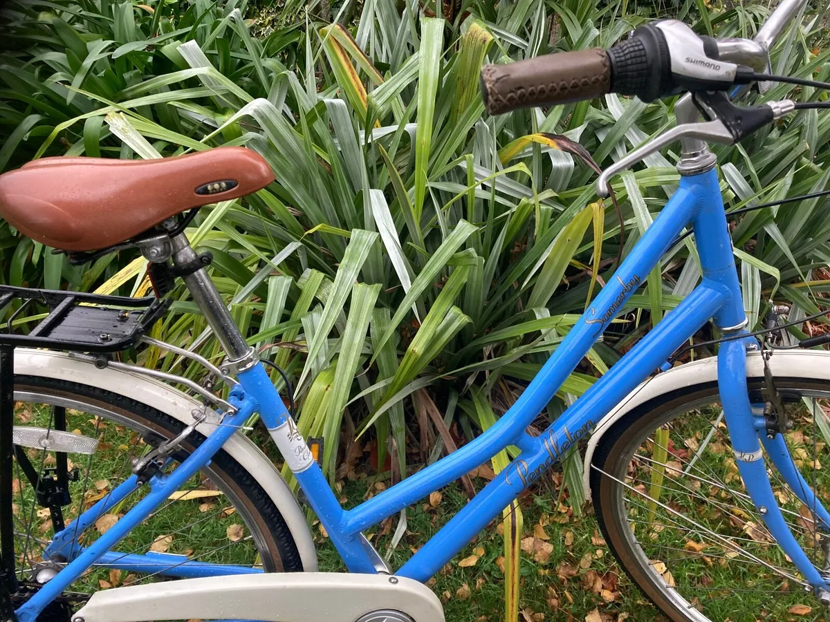 Modern Vintage Ladies Bike Bike - Image 2