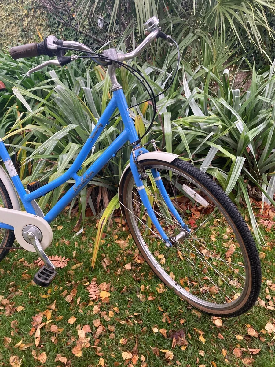 Modern Vintage Ladies Bike Bike - Image 4