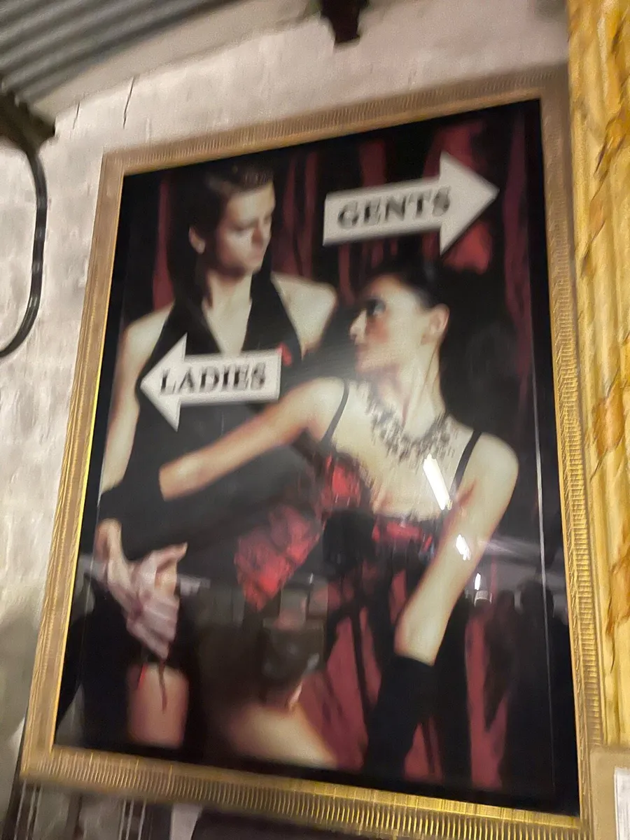 Large light up ladies gents sign - Image 3