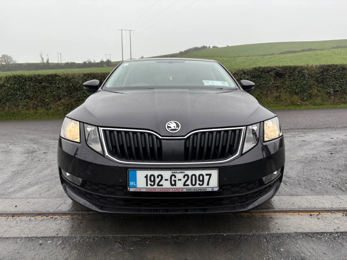 Skoda Octavia 2019 1.6tdi great spec - Image 2