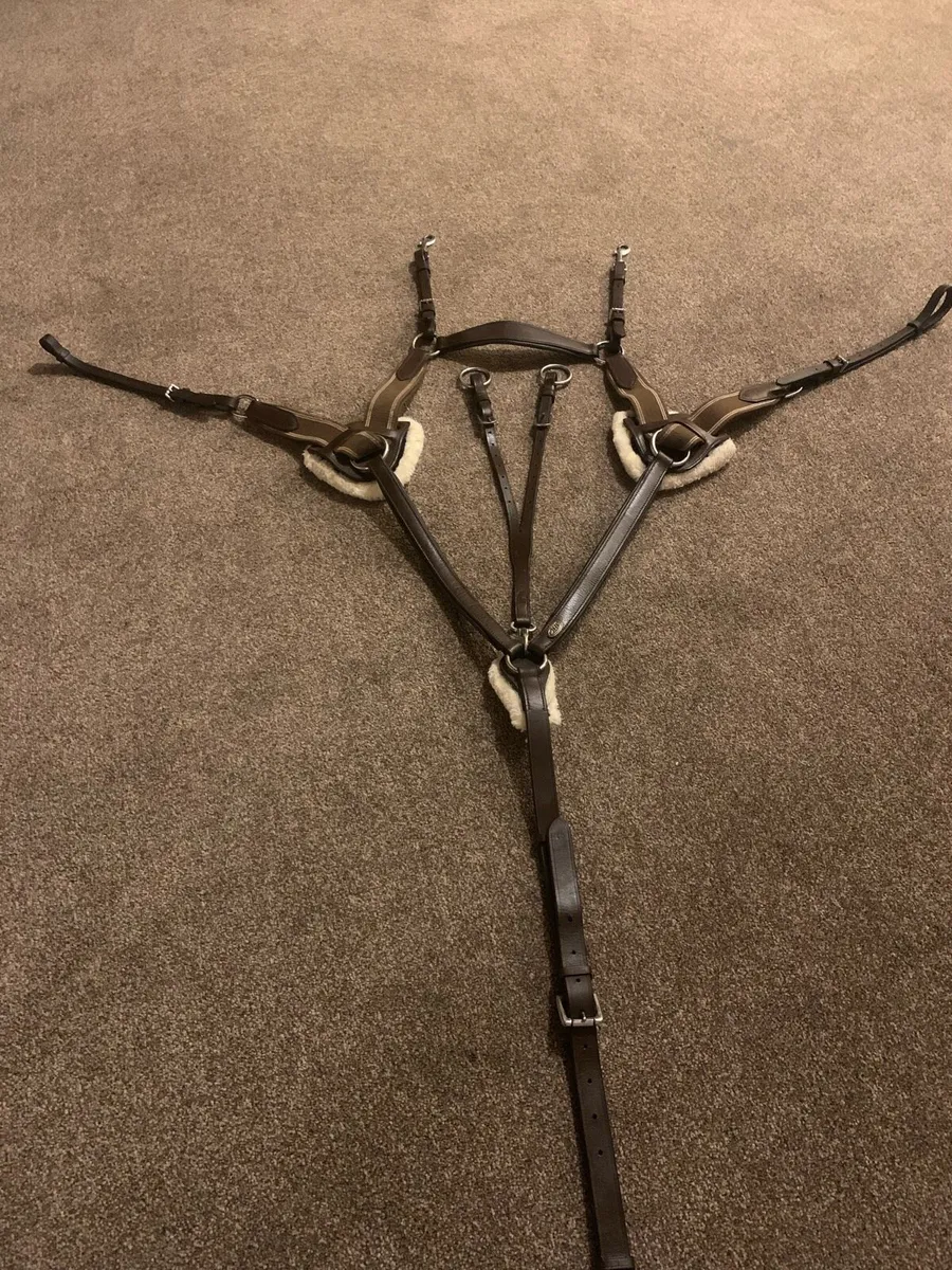 Breastplate QHP - Image 1