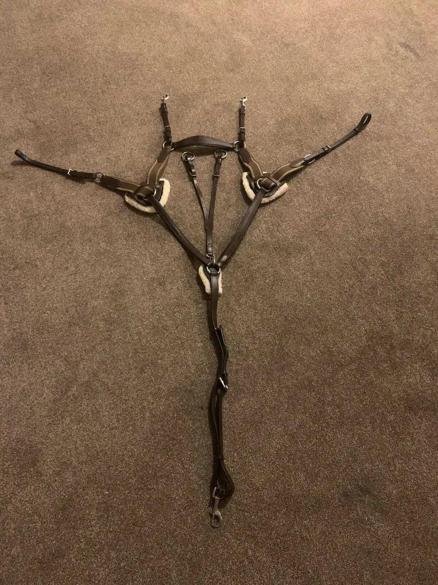 Breastplate QHP - Image 2