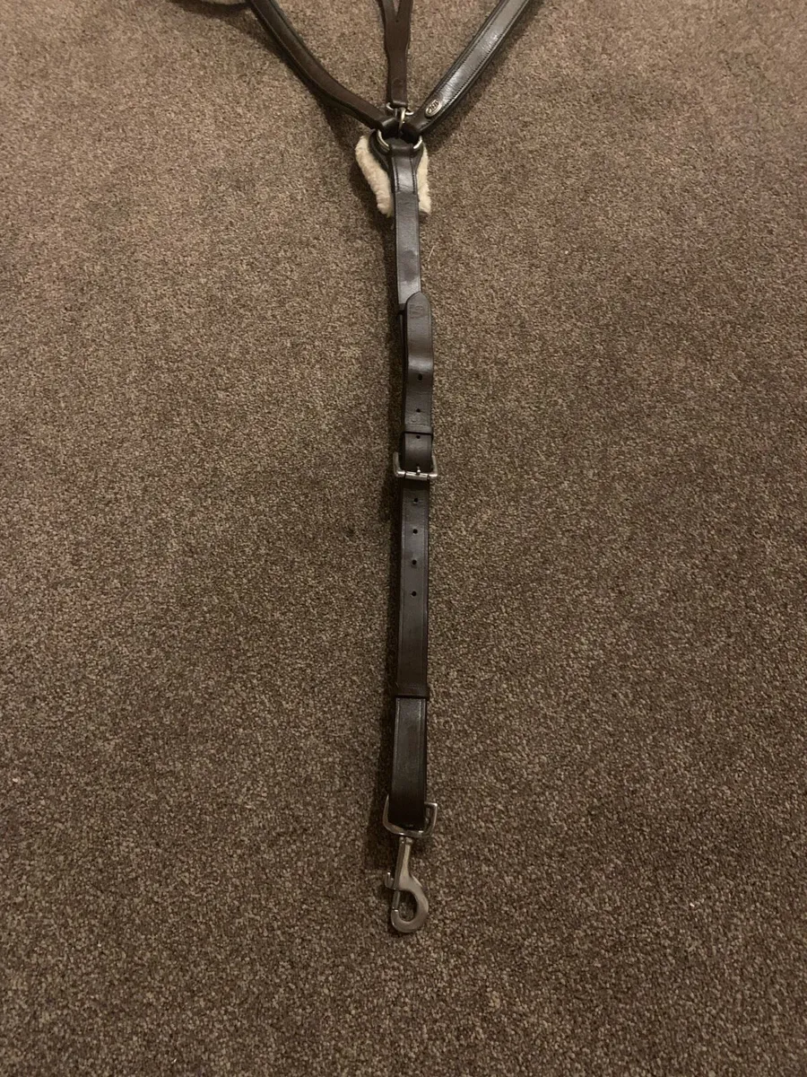 Breastplate QHP - Image 3