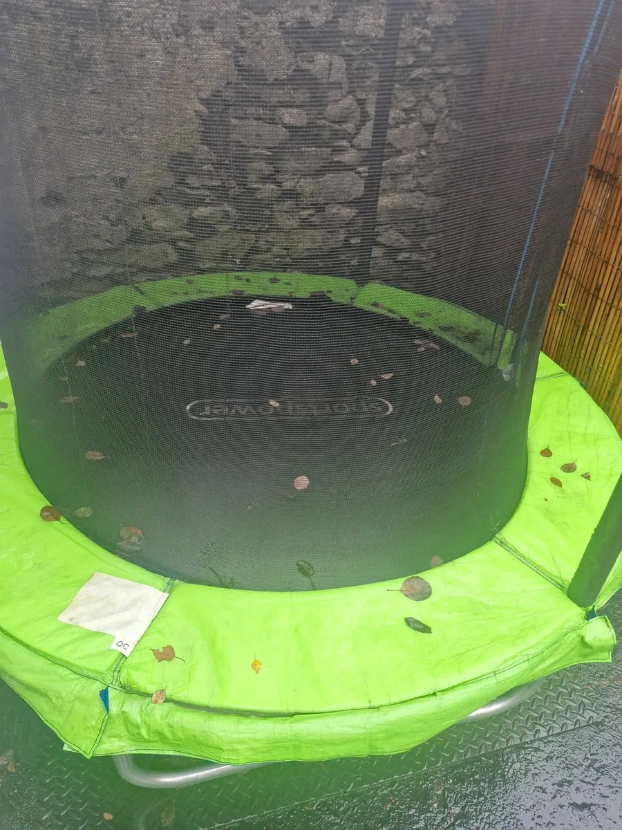 Trampoline 6ft - Image 2