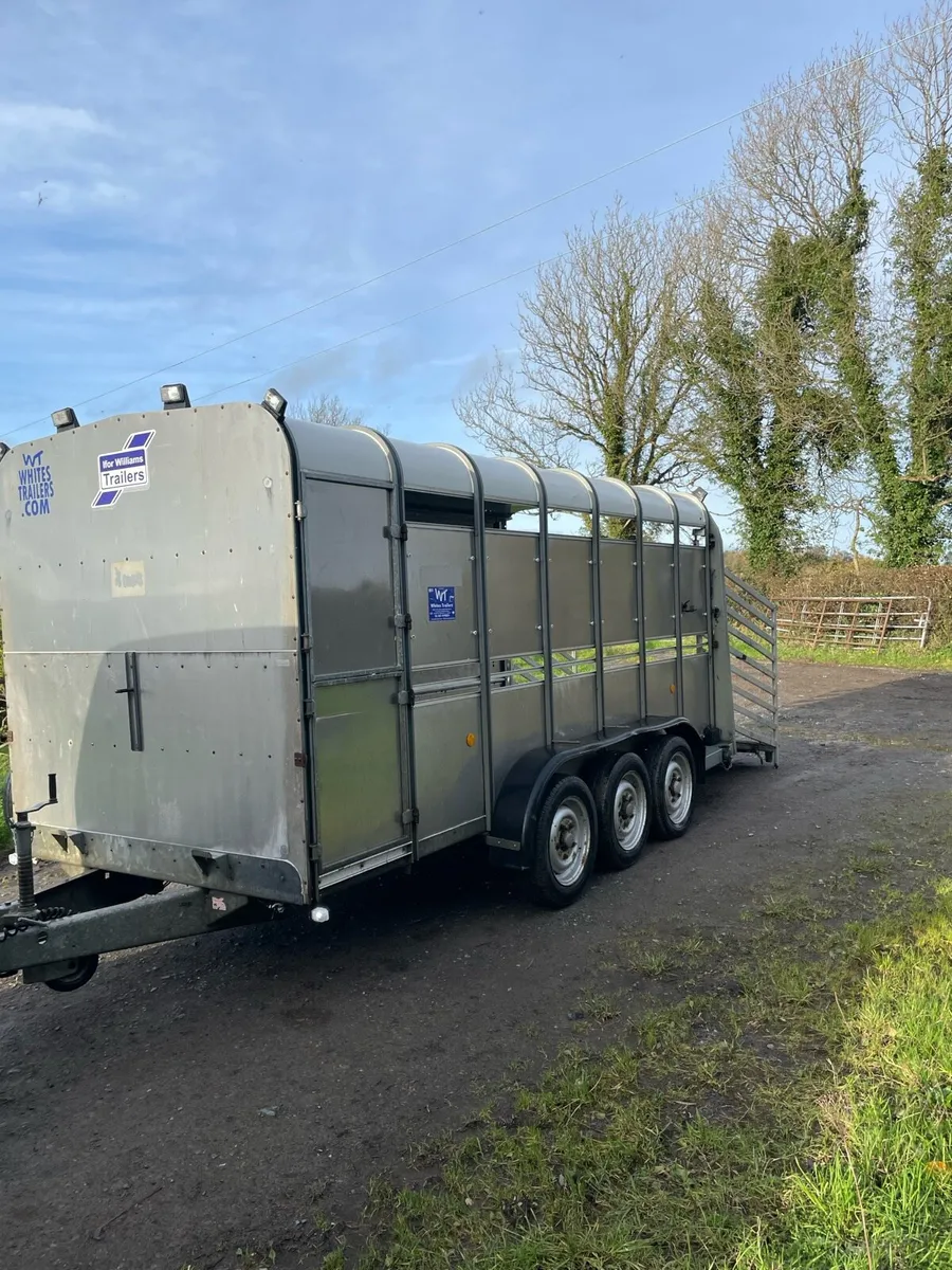 Ifor williams Cattle trailer - Image 1