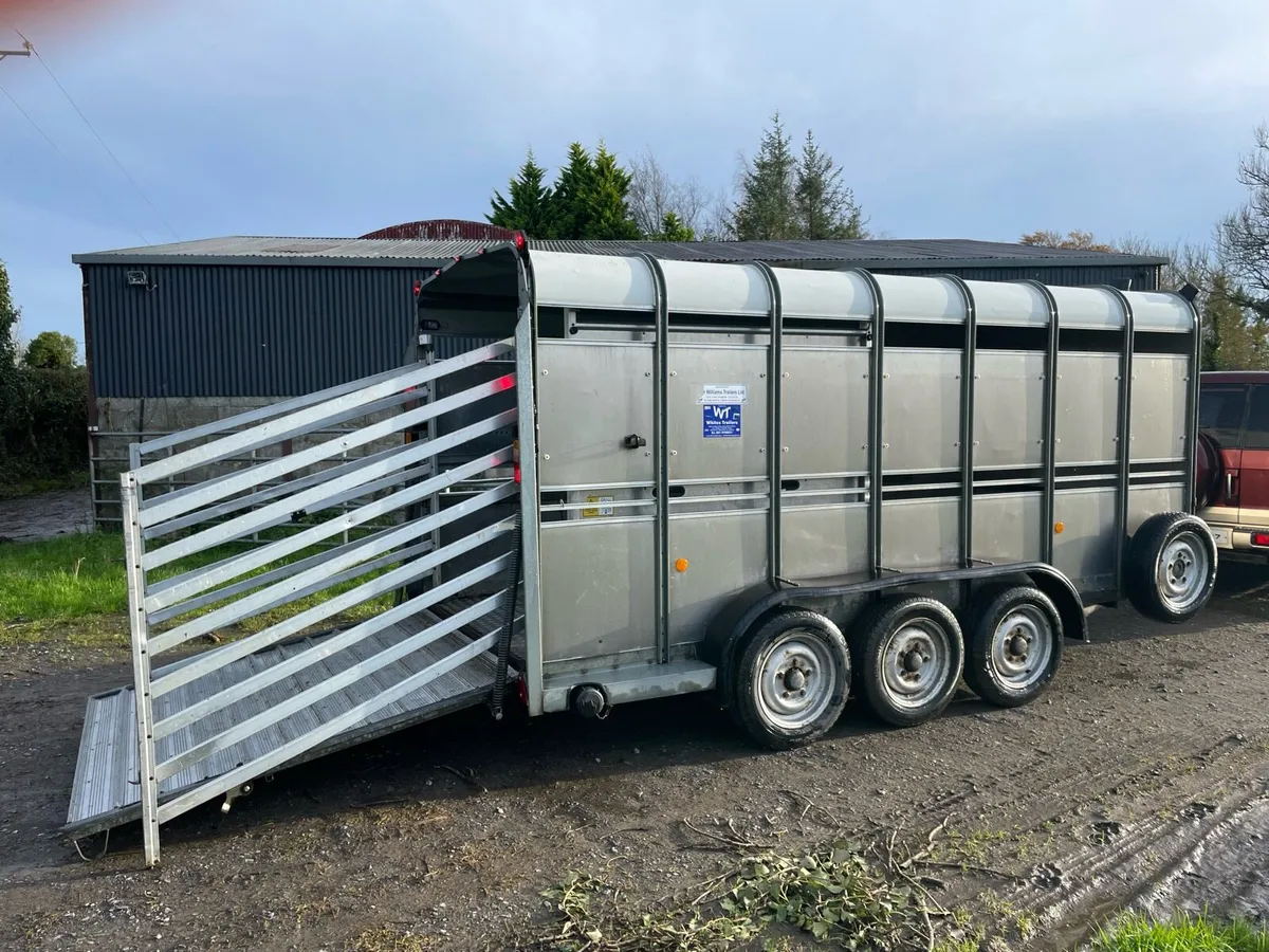 Ifor williams Cattle trailer - Image 2