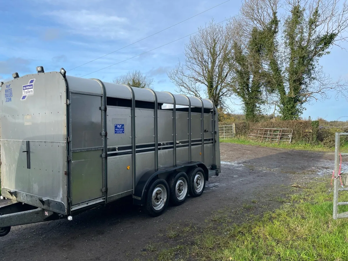 Ifor williams Cattle trailer - Image 4