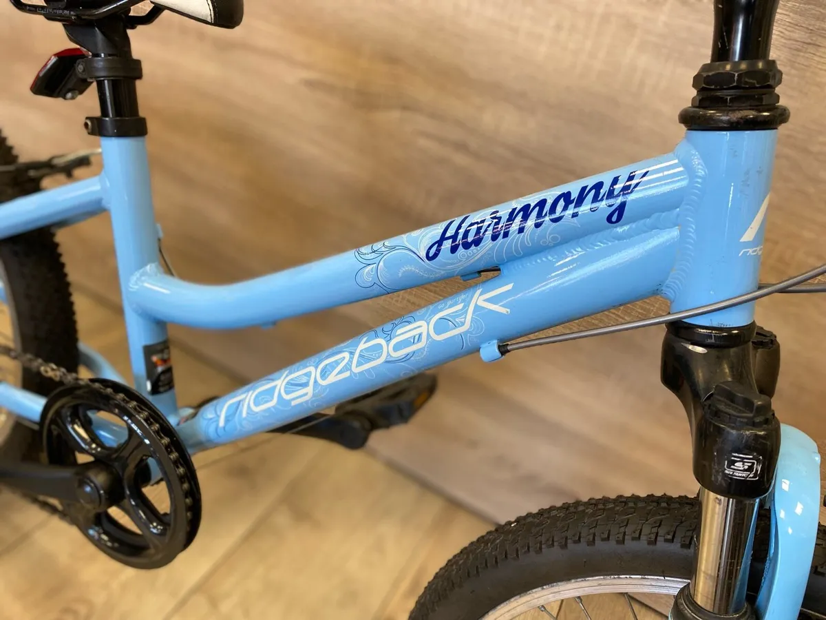 Ridgeback harmony - Image 2