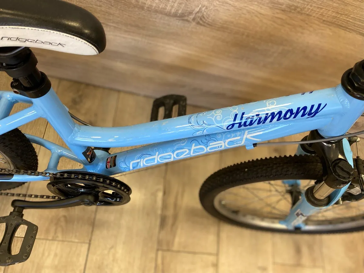 Ridgeback harmony - Image 3