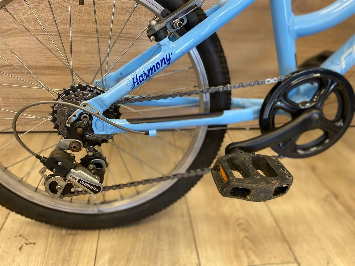 Ridgeback harmony - Image 4