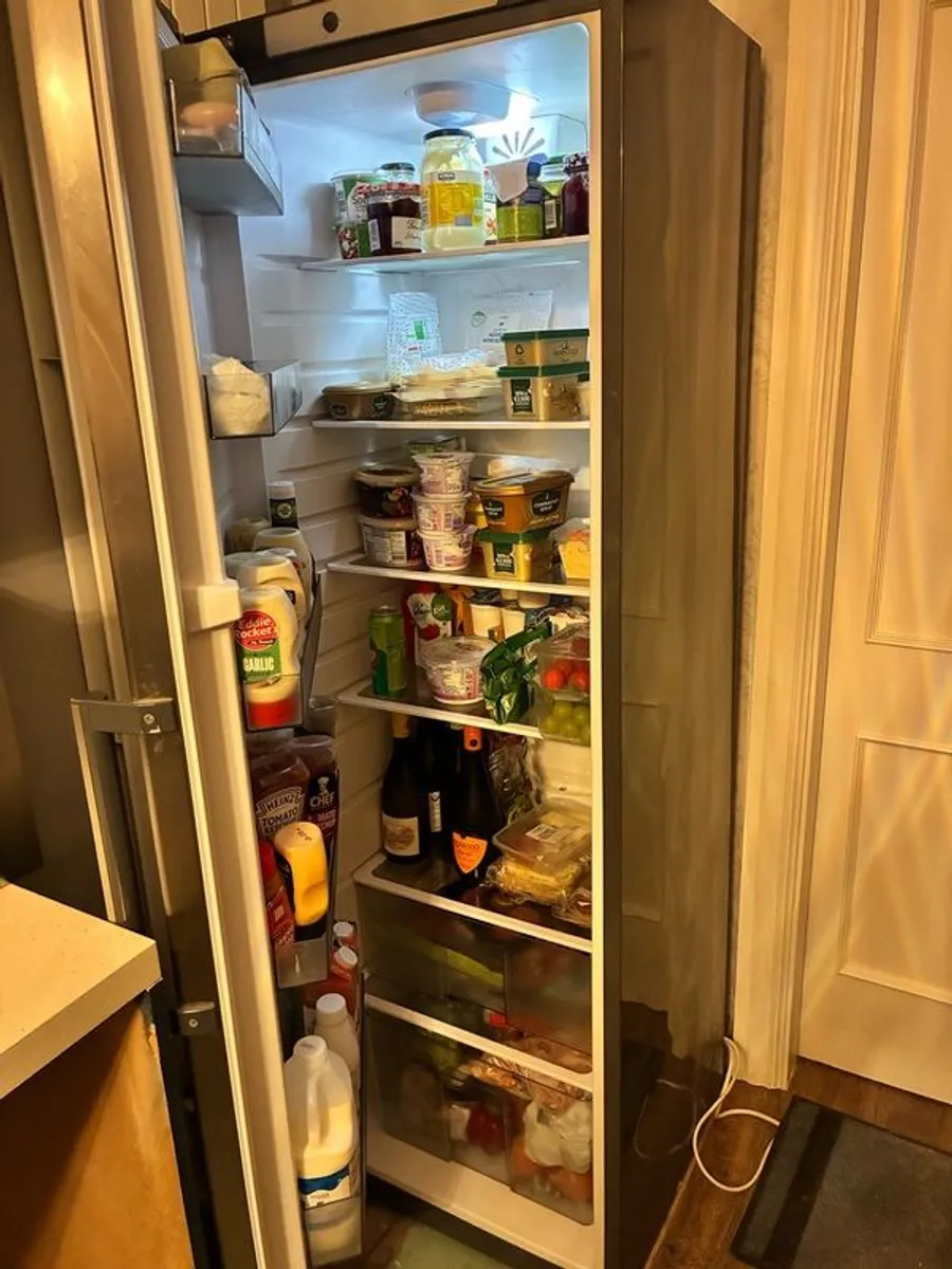 Nordmemde Larder Fridge - Image 4