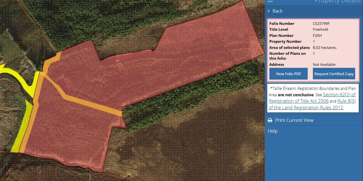 Forestry for Sale - Image 3