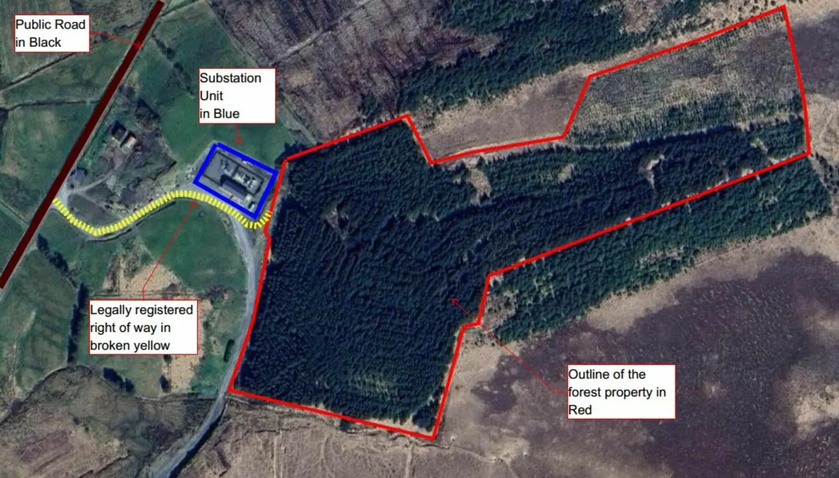 Forestry for Sale - Image 1