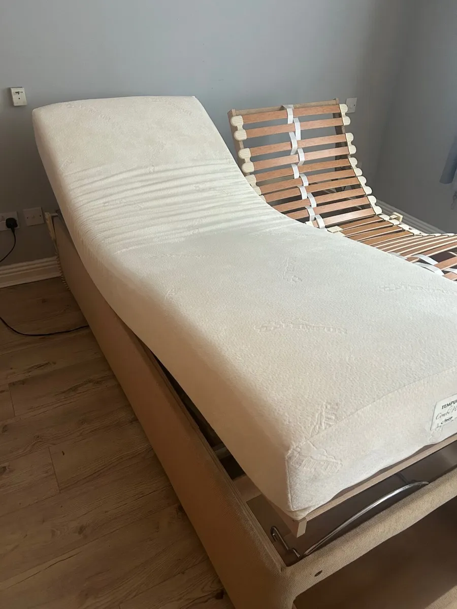 Electric Bed - Image 1