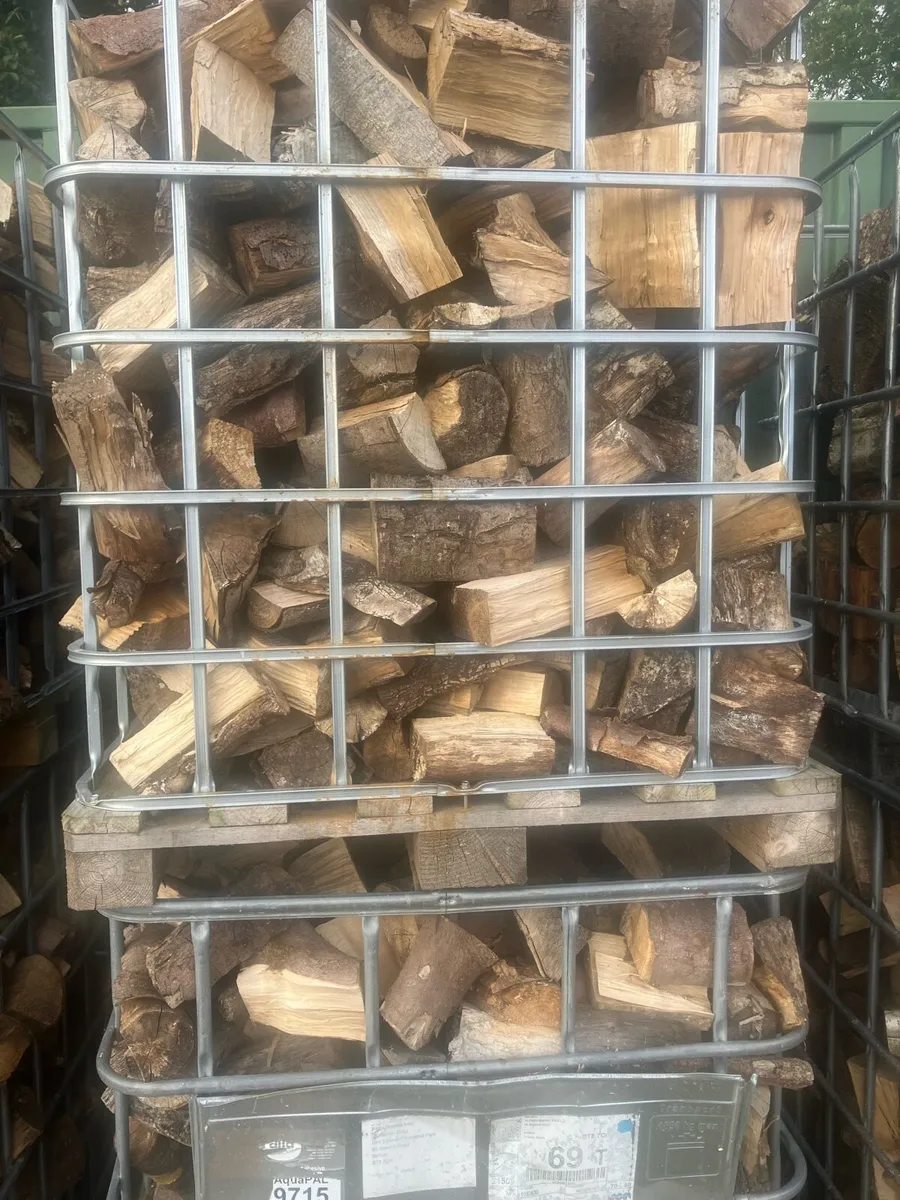 Logs Hardwood Firewood - Image 2