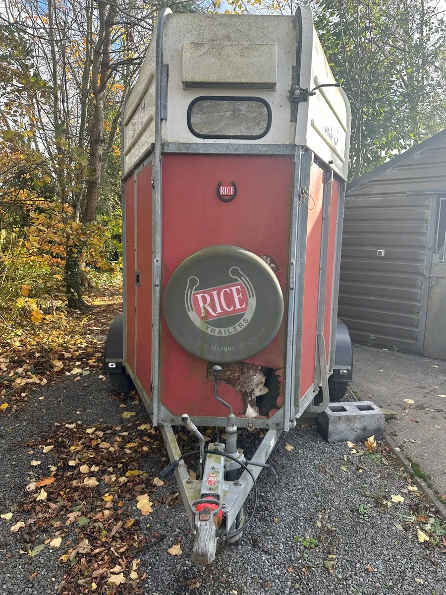Rice Horse Box - Image 1
