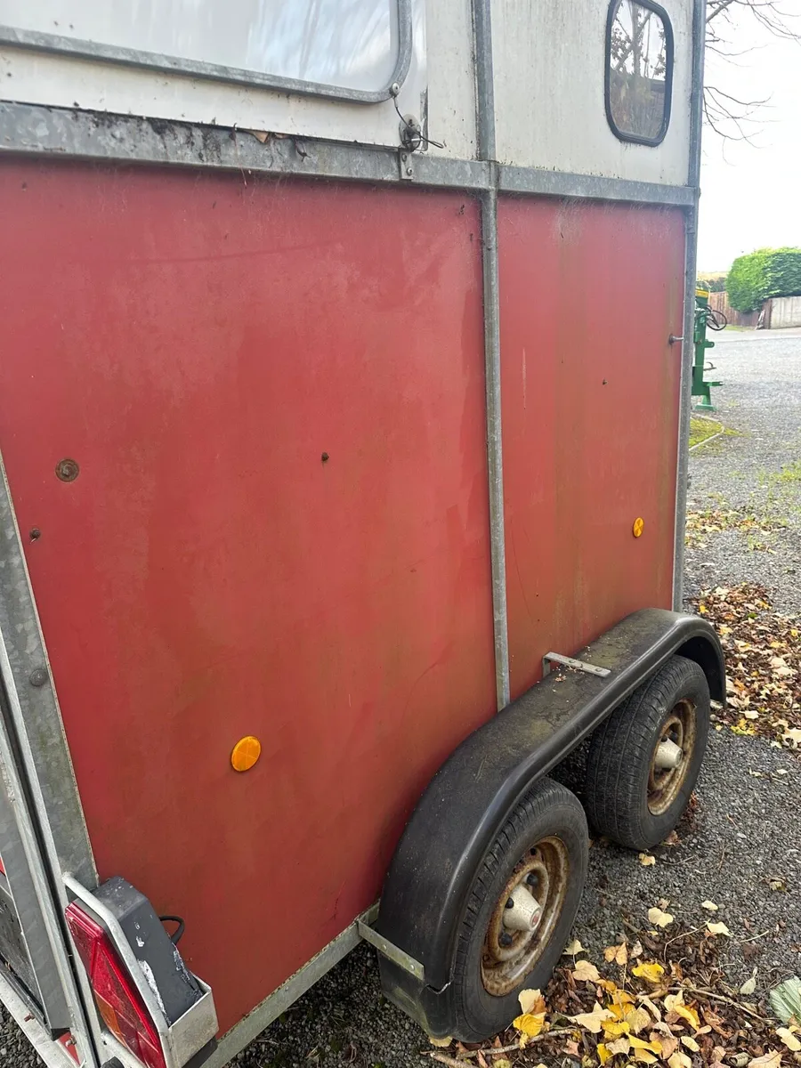 Rice Horse Box - Image 3