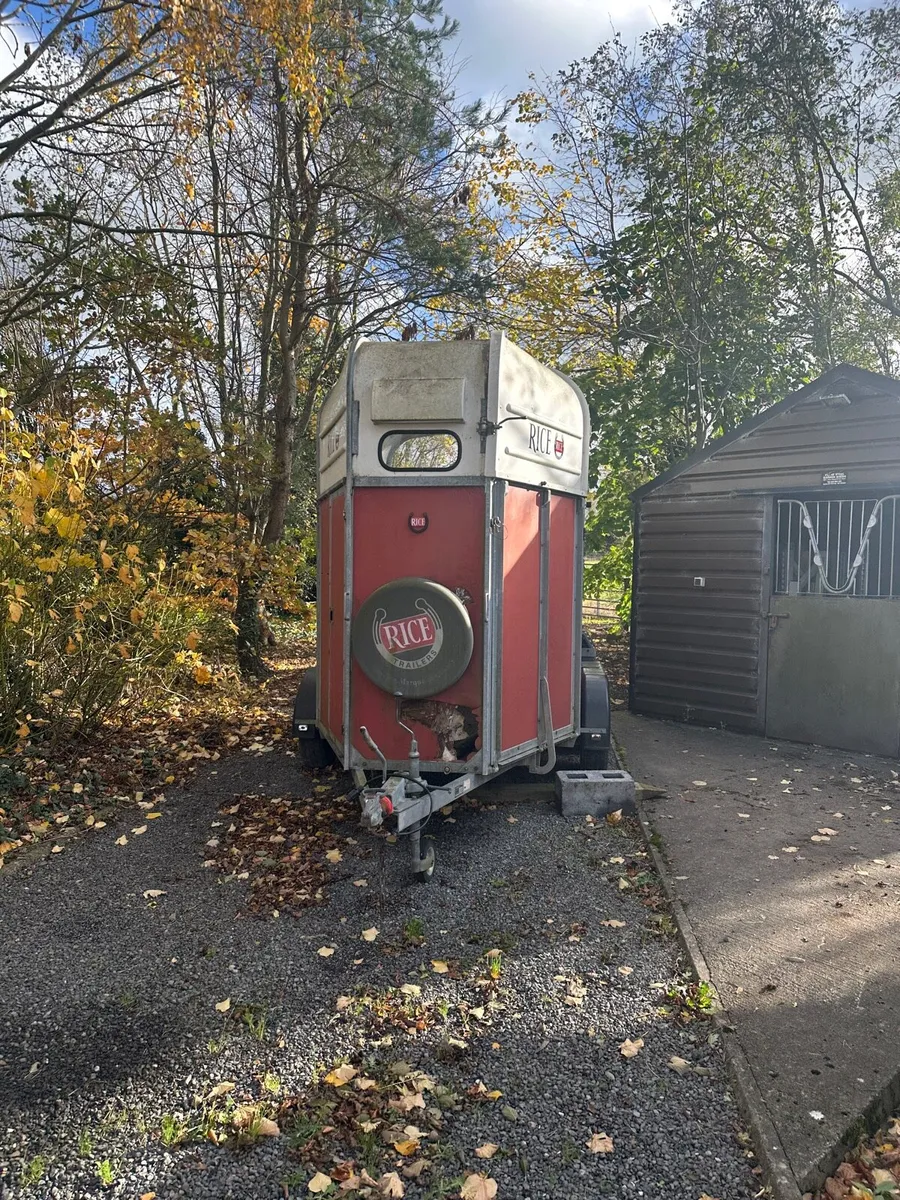 Rice Horse Box - Image 4
