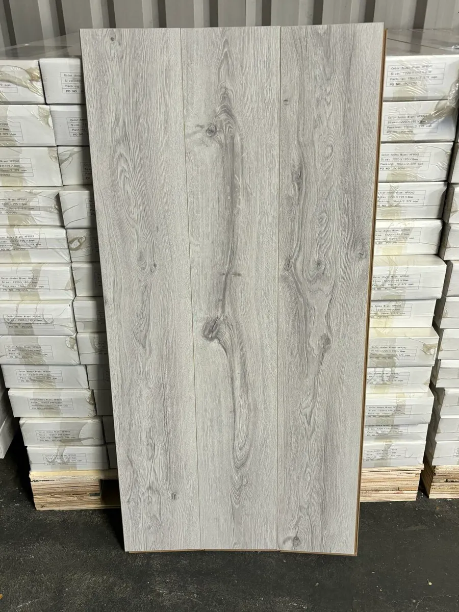 Brand New Laminated Flooring - Image 4