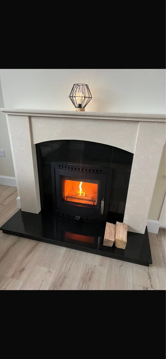 Kingstar Elmm insert stove - Image 1