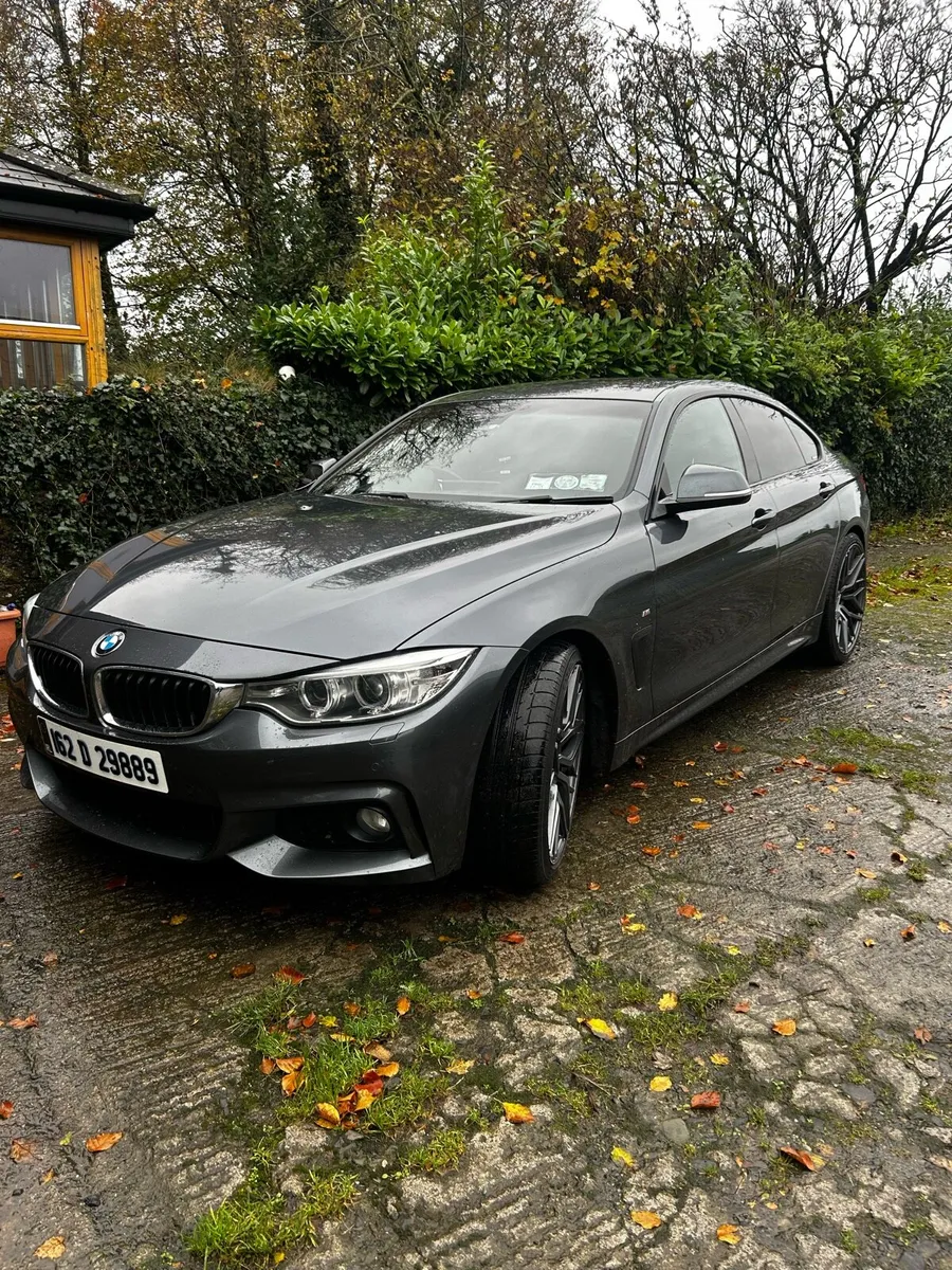 Bmw 420d Auto - Image 1