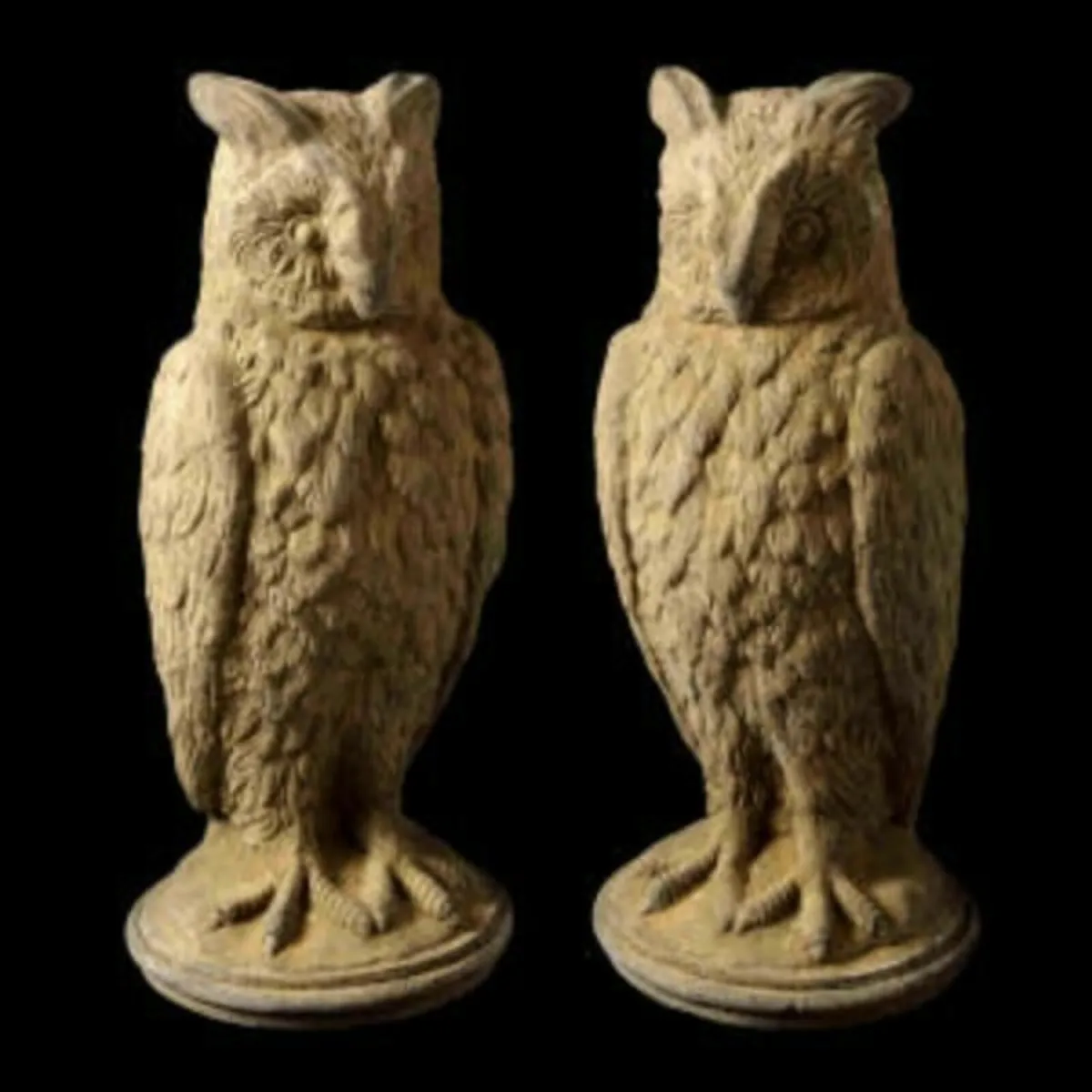 Owl EG017