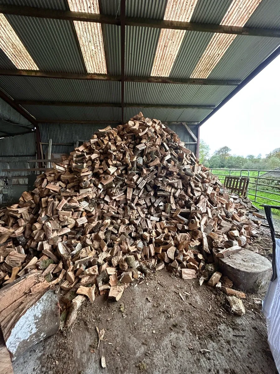 Firewood - tonne bags - Image 2