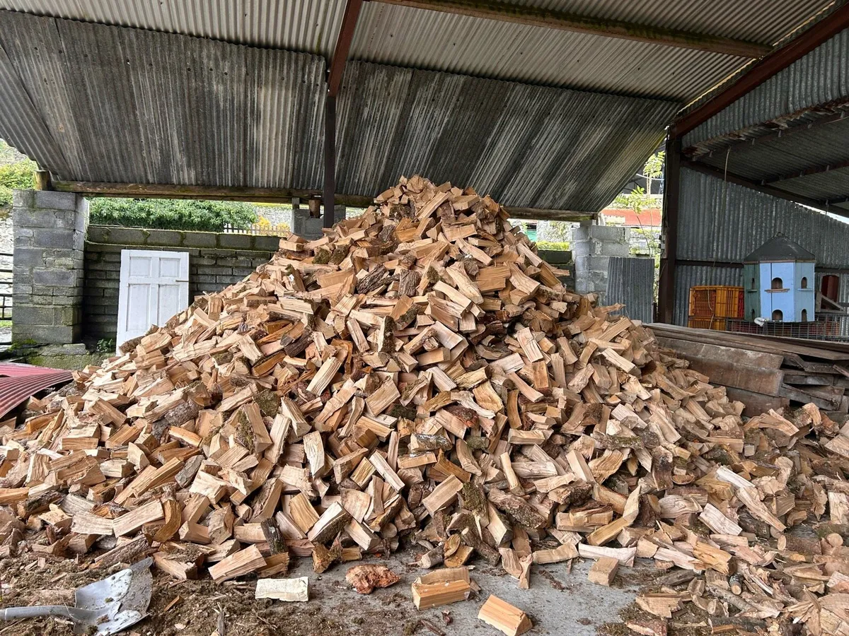 Firewood - tonne bags - Image 3