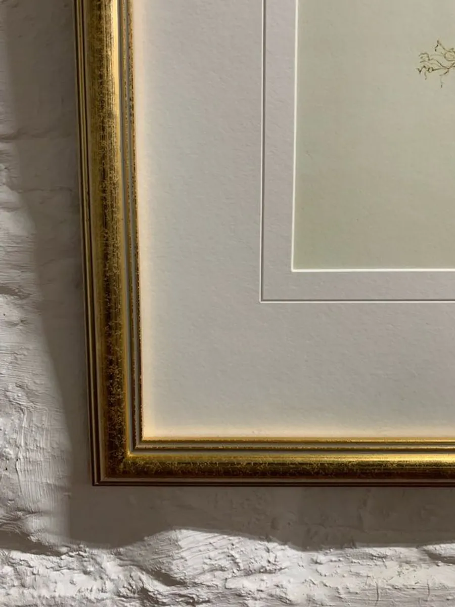 Framed Botanical sketch. - Image 3