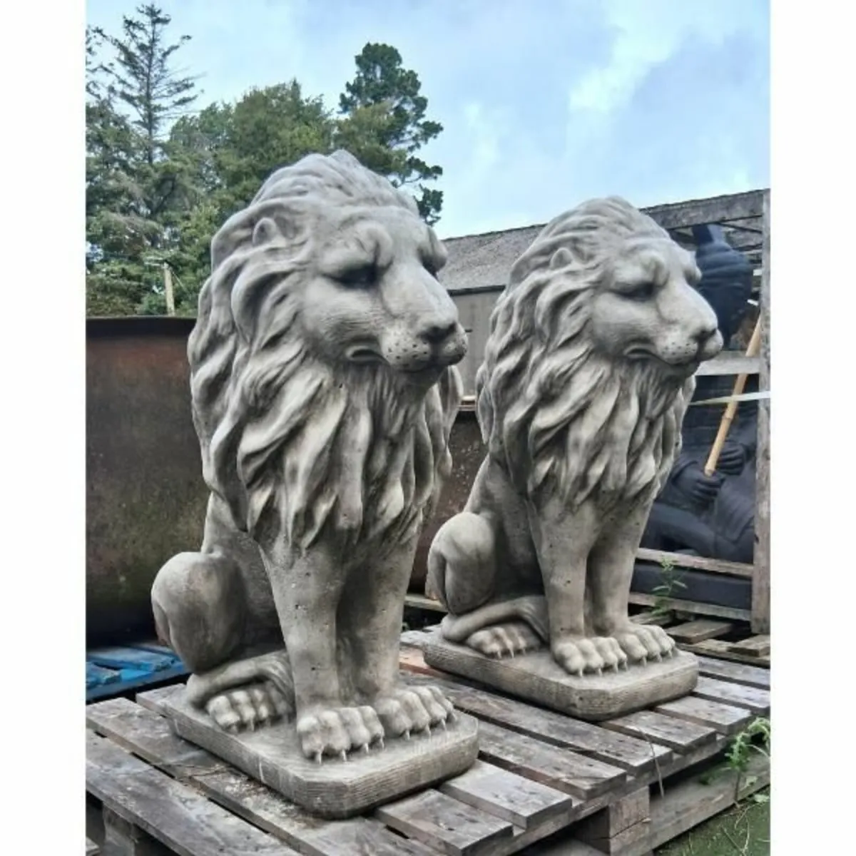 Pair of lions GL LA006 - Image 1